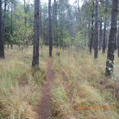 dscn5721jpg.jpg