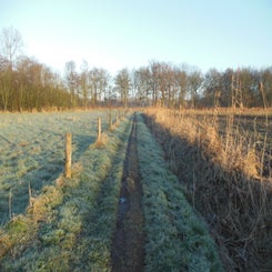 dscn5018jpg.jpg