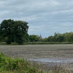 img_0510jpeg.jpeg