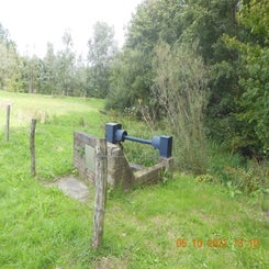 dscn5577jpg.jpg