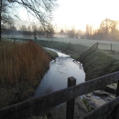 dscn5010jpg.jpg