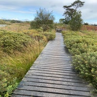 img_2737jpeg.jpeg