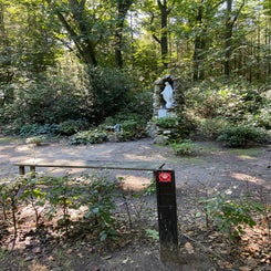 img_04371jpeg.jpeg