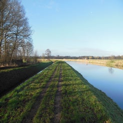 dscn5081jpg.jpg