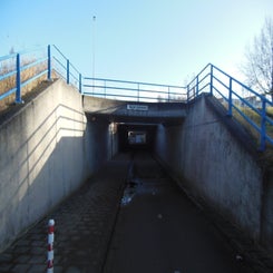 dscn5053jpg.jpg