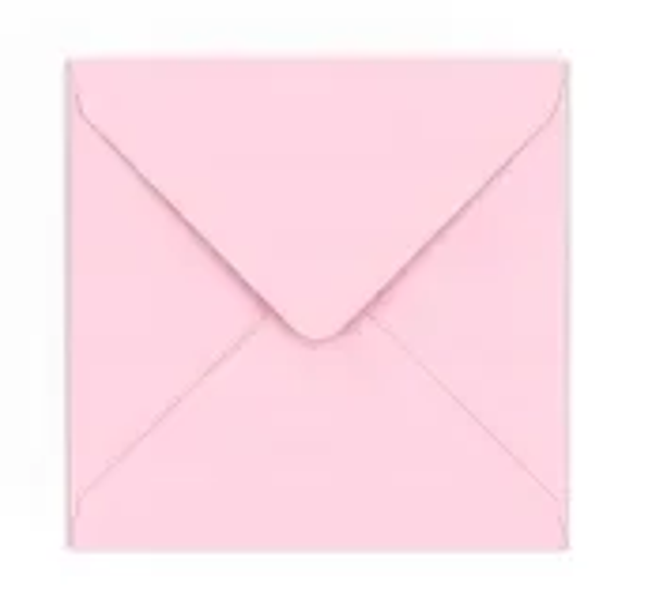 25 BUSTE ROSA ( 3 MISURE DISPONIBILI)