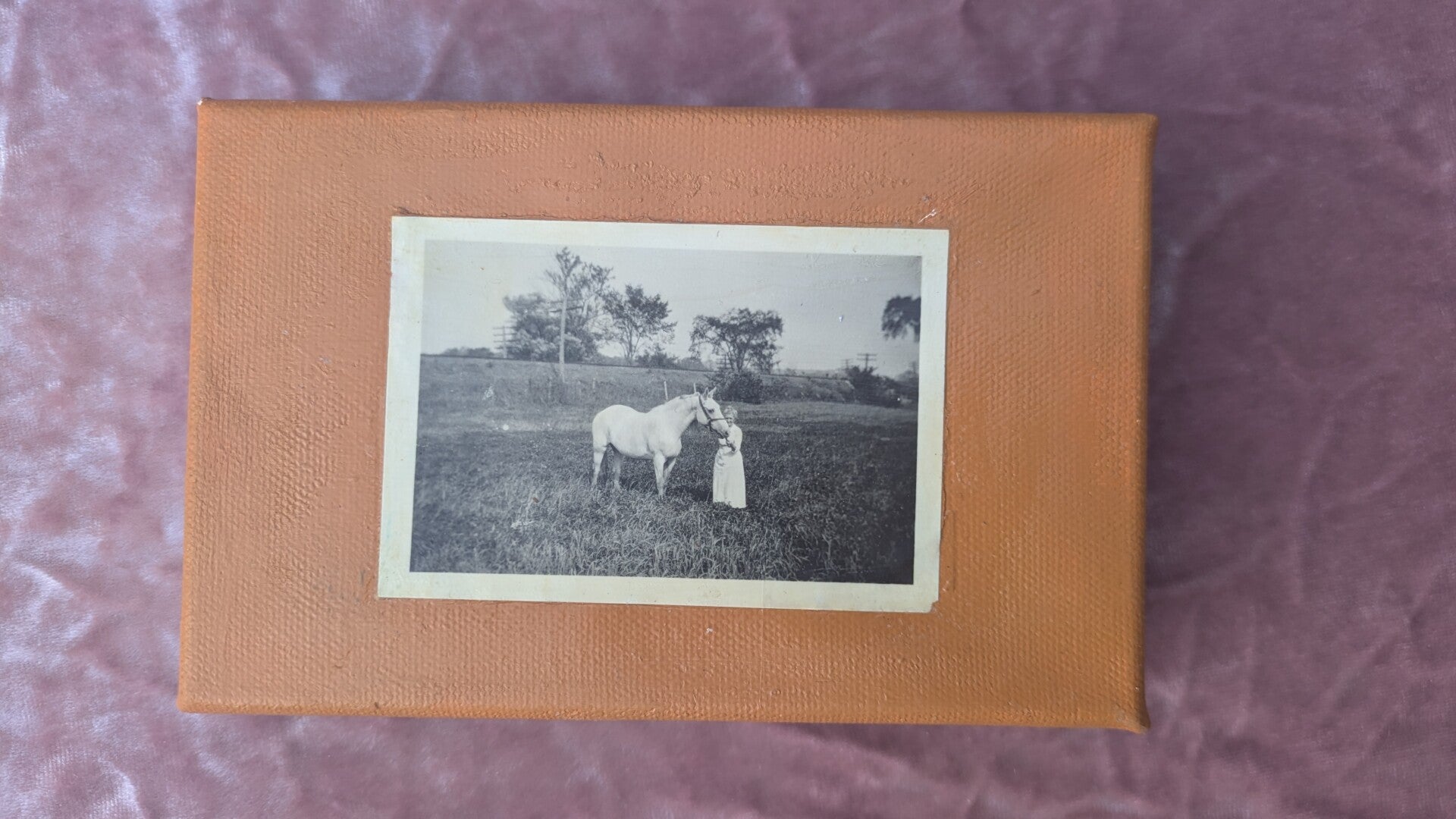 Antique Collage of Lady with Horse in Field