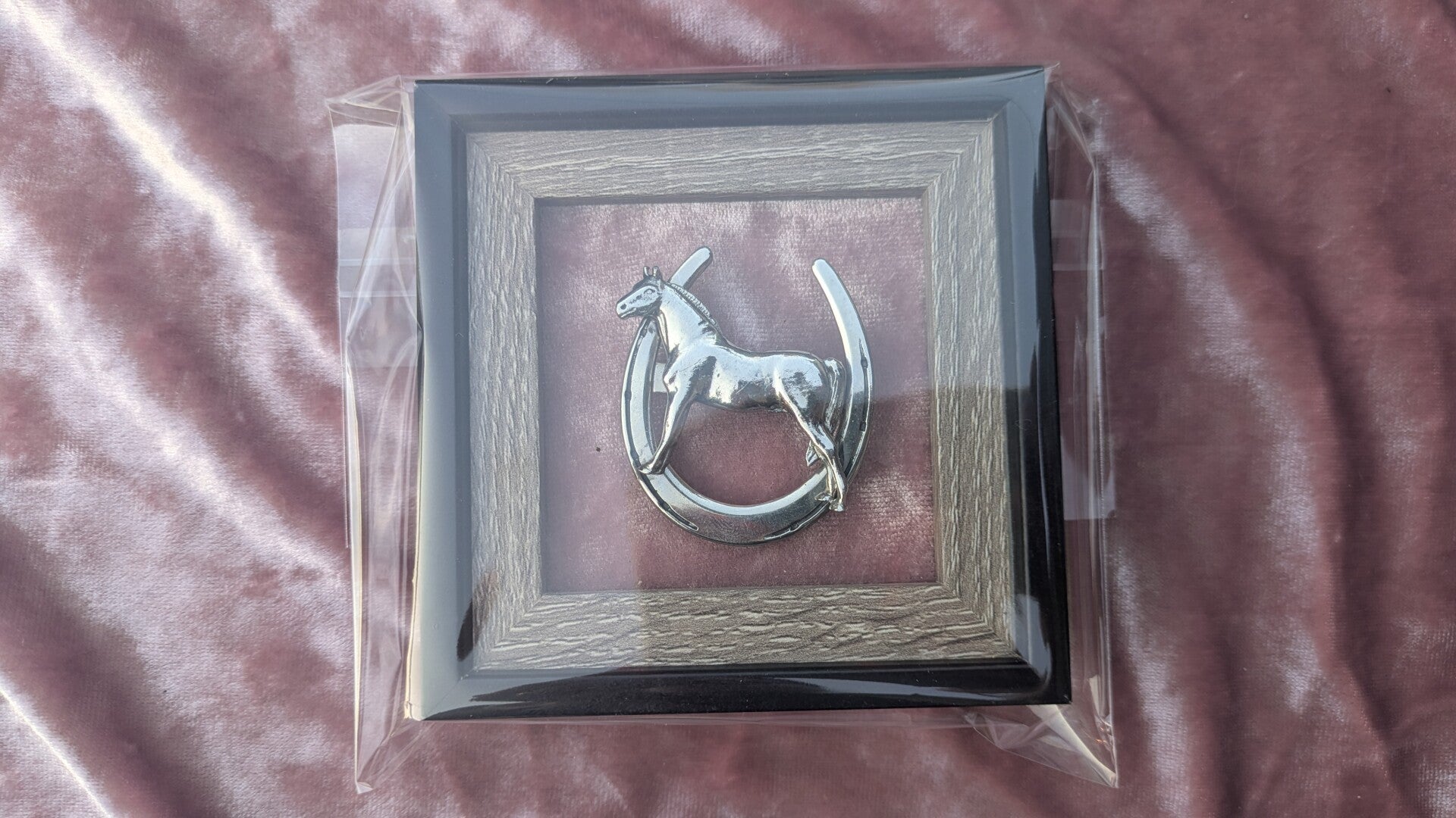 Framed Horse with Horseshoe Pin