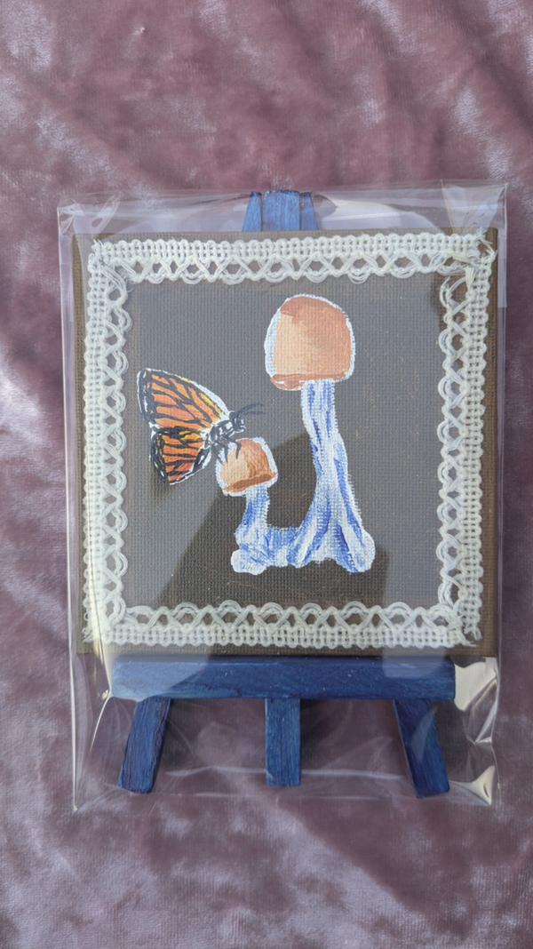 Butterfly visits Mushrooms