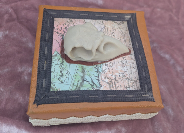 Mounted Bird skull Collage