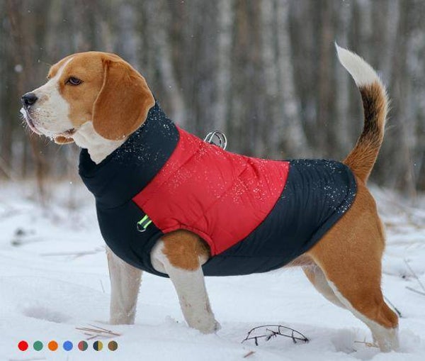 Hunde Baumwollweste, Hundekleidung für Herbst und Winter