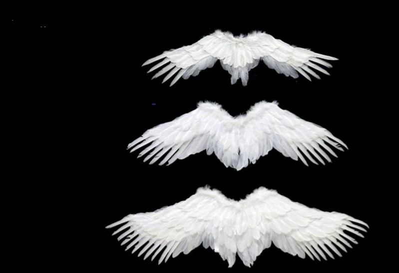 Schwalbenflügel / Engelsflügel - Erwachsene & Kinder