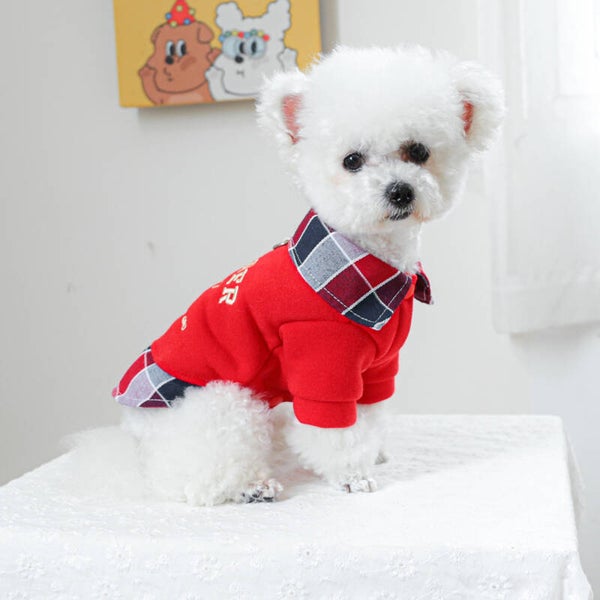 PETCIRCLE Kamera-Pullover
