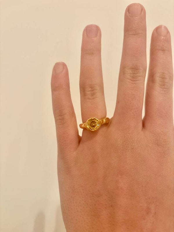Lara ring goud