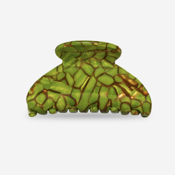 Mony turtle