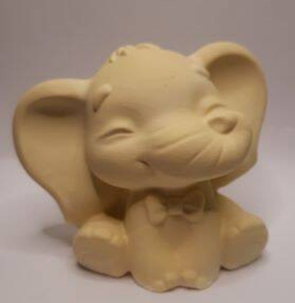 Elefant Junge