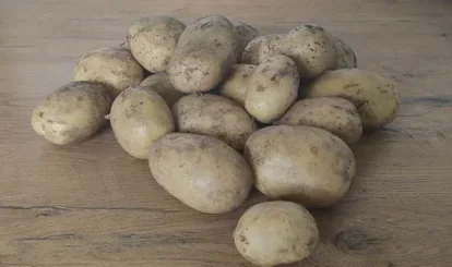 Vast kokende aardappel