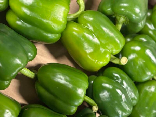 Paprika groen