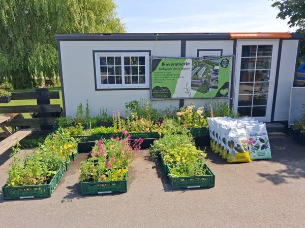24 biologische plantjes