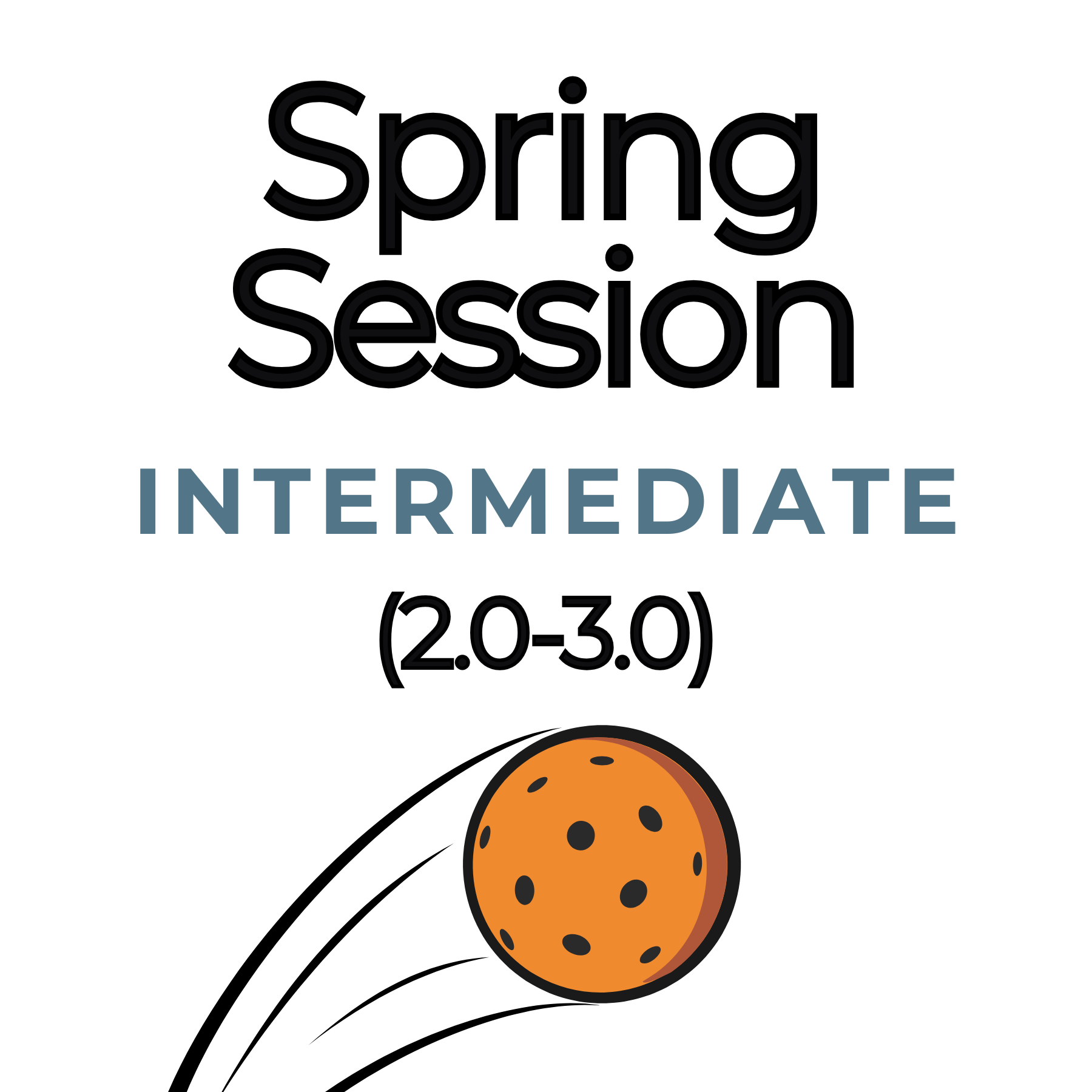 Intermediate Level (2.0-3.0) Spring 2026 Session Adult 18+ Sundays 3:00-5:00pm