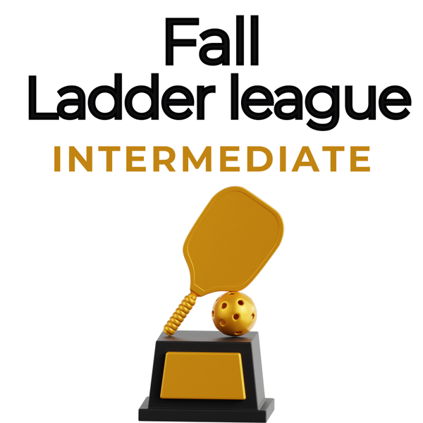 Intermediate Fall Ladder League 3.0+ Adult 18+ Sundays 7:30-9:30pm