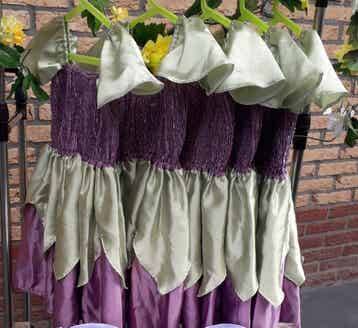 Elfjesjurken Blije Bij themakisten 