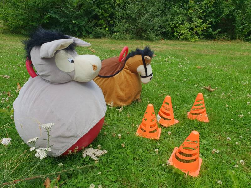 Paard en Ezel race Blije Bij themakisten 