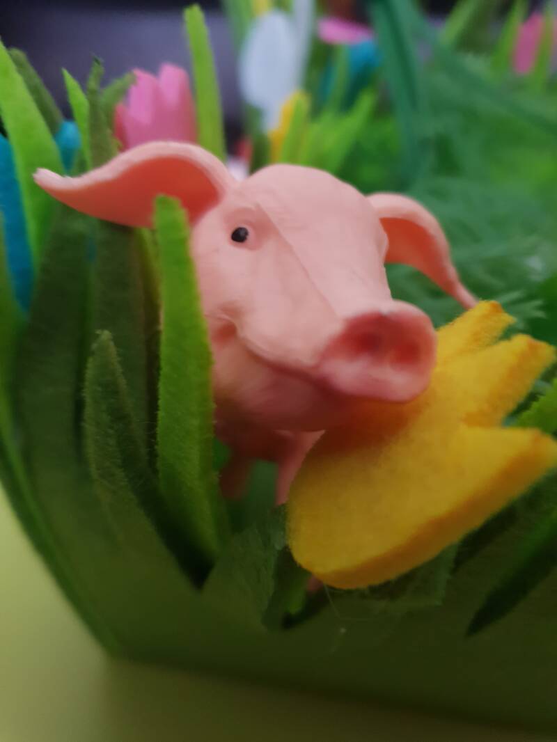 Boerderijfeestje Blije Bij Themakisten 