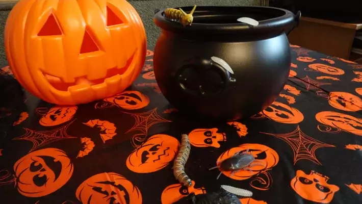 Spelletjes Griezelfeestje Blije Bij themakisten 