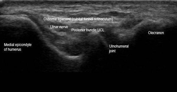 RMSK Question Bank (Exam Mode)