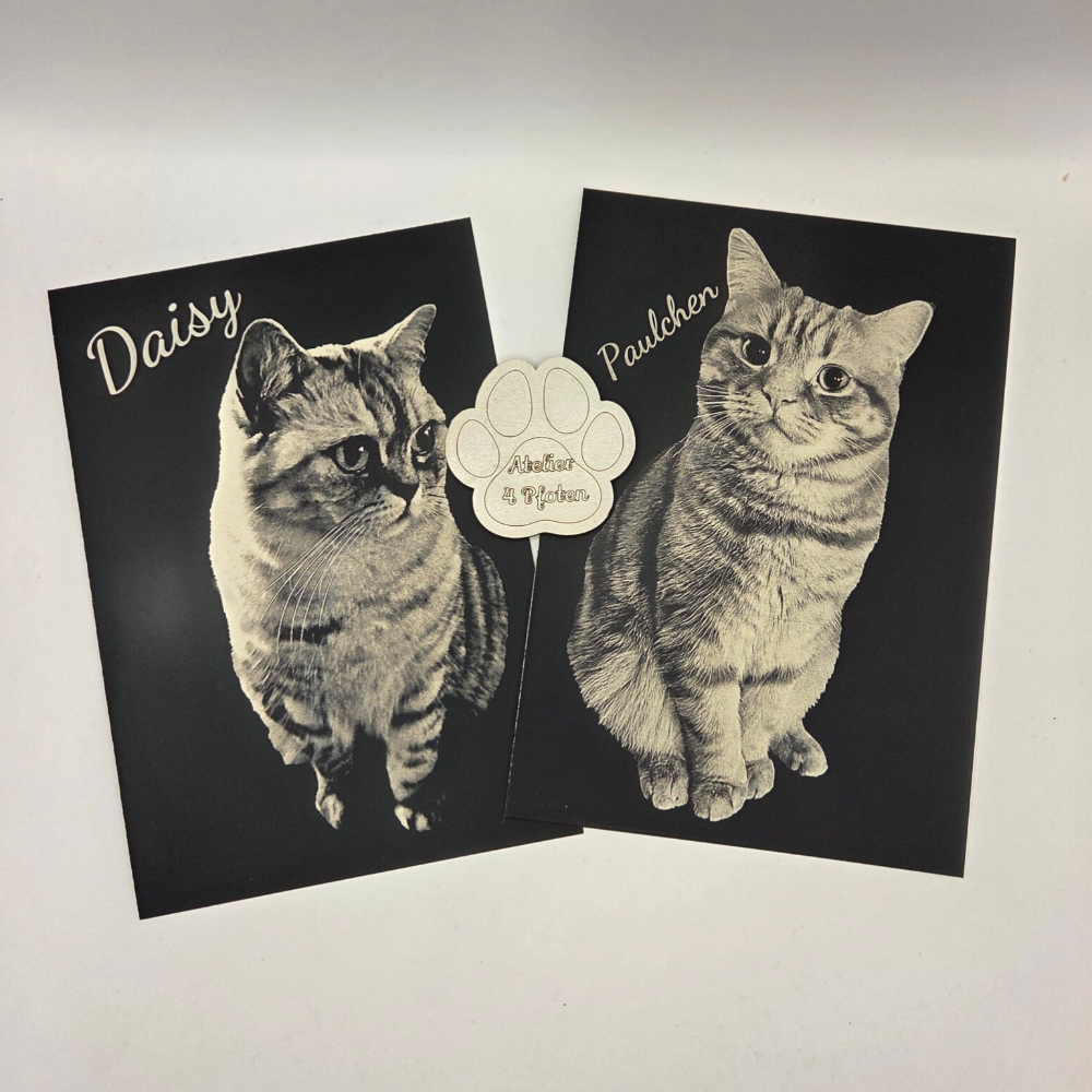 Haustier Silber Bildergravur auf Effektpapier