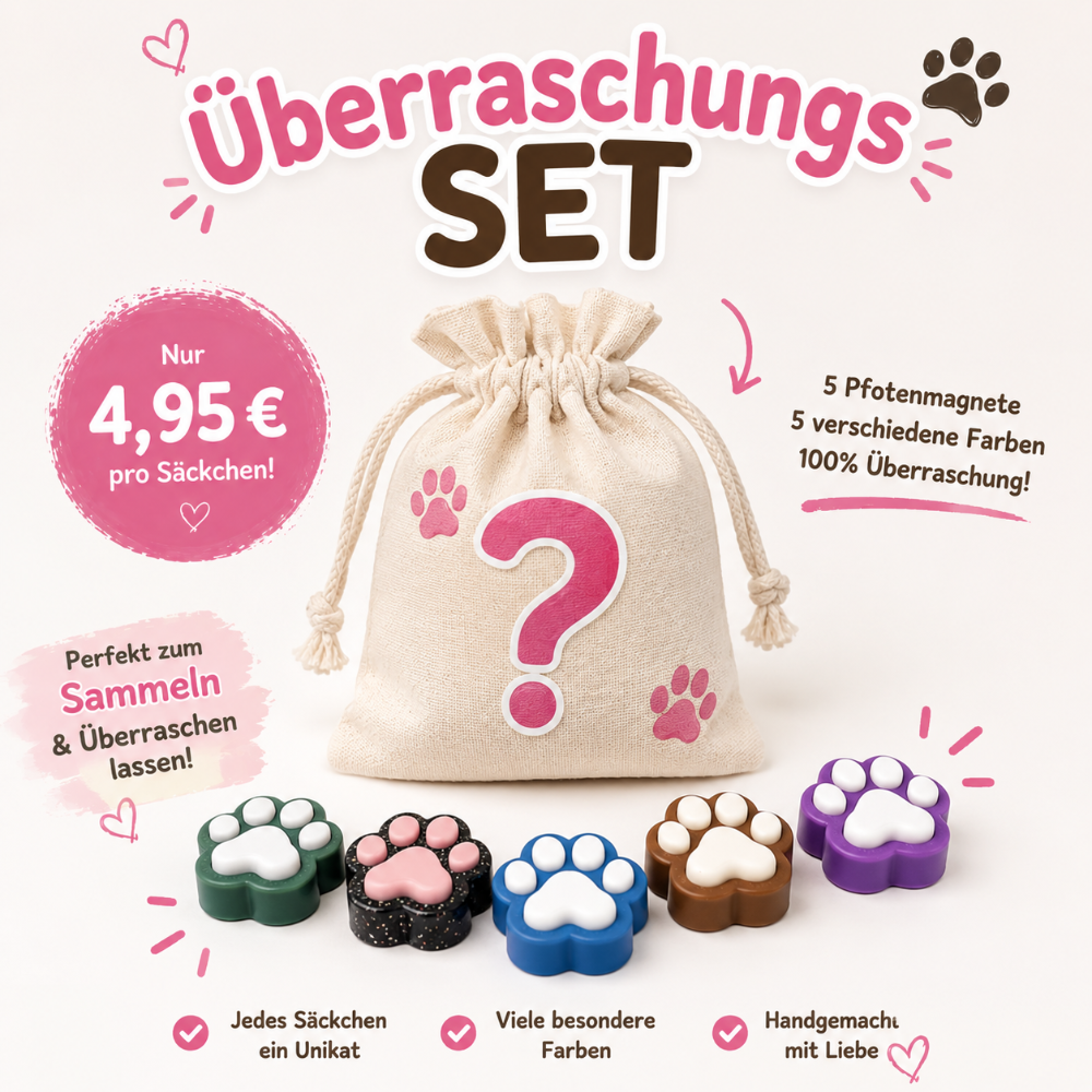 Überraschungsset Pfotenmagnete – 5 verschiedene Designs & Farben
