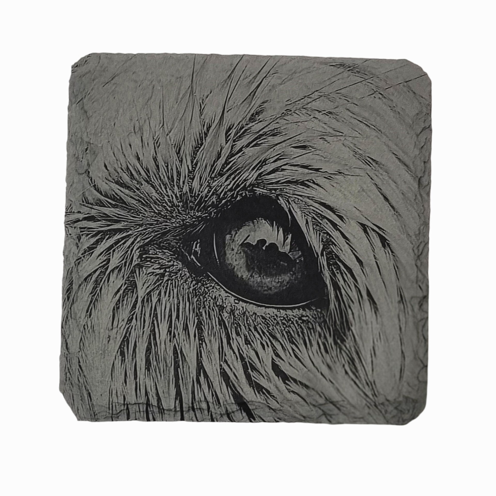 Schieferplatte 10x10 cm / mit Foto / Bild