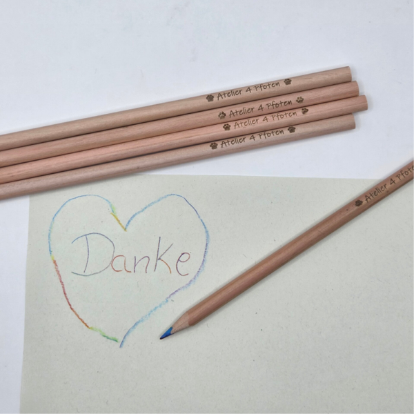 Regenbogen Bundstift Atelier 4 Pfoten