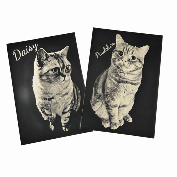 Haustier Silber Bildergravur auf Effektpapier