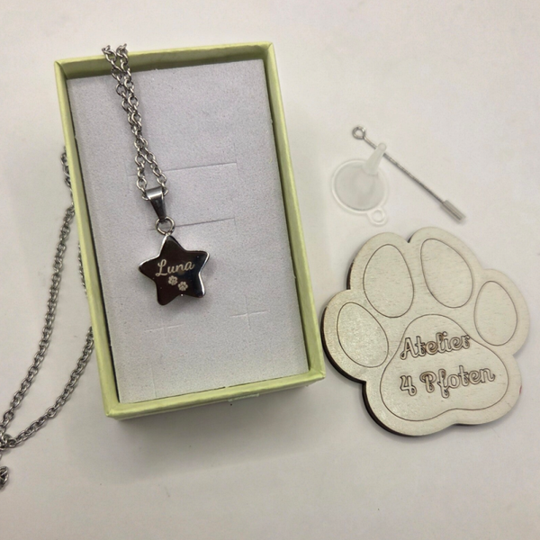 Asche / Fell Kette und Anhänger Stern Silber Gravur