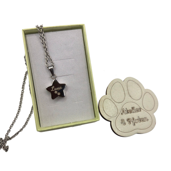 Asche / Fell Kette und Anhänger Stern Silber Gravur