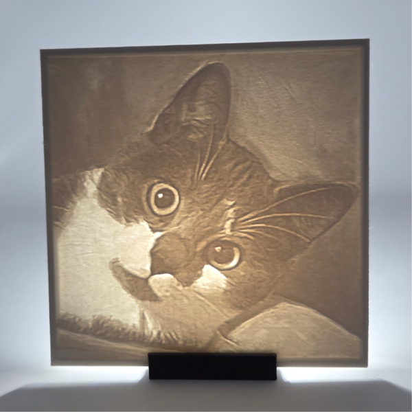 Fotolicht – dein leuchtendes Erinnerungsbild Lichtbild Set in 2 Größen