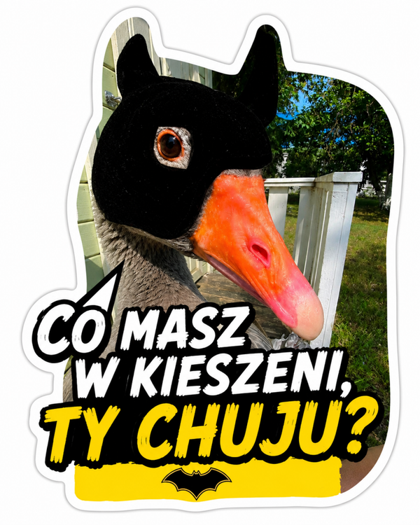 Furiasta naklejka: Co masz w kieszeni, ty ch_?