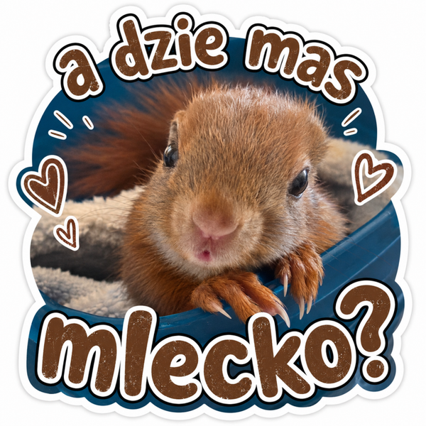 Furiasta naklejka: A gdzie masz mlecko?