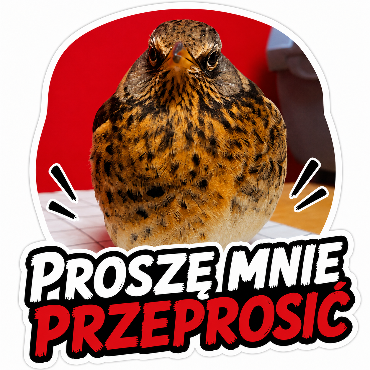 Furiasta naklejka: Proszę mnie przeprosić