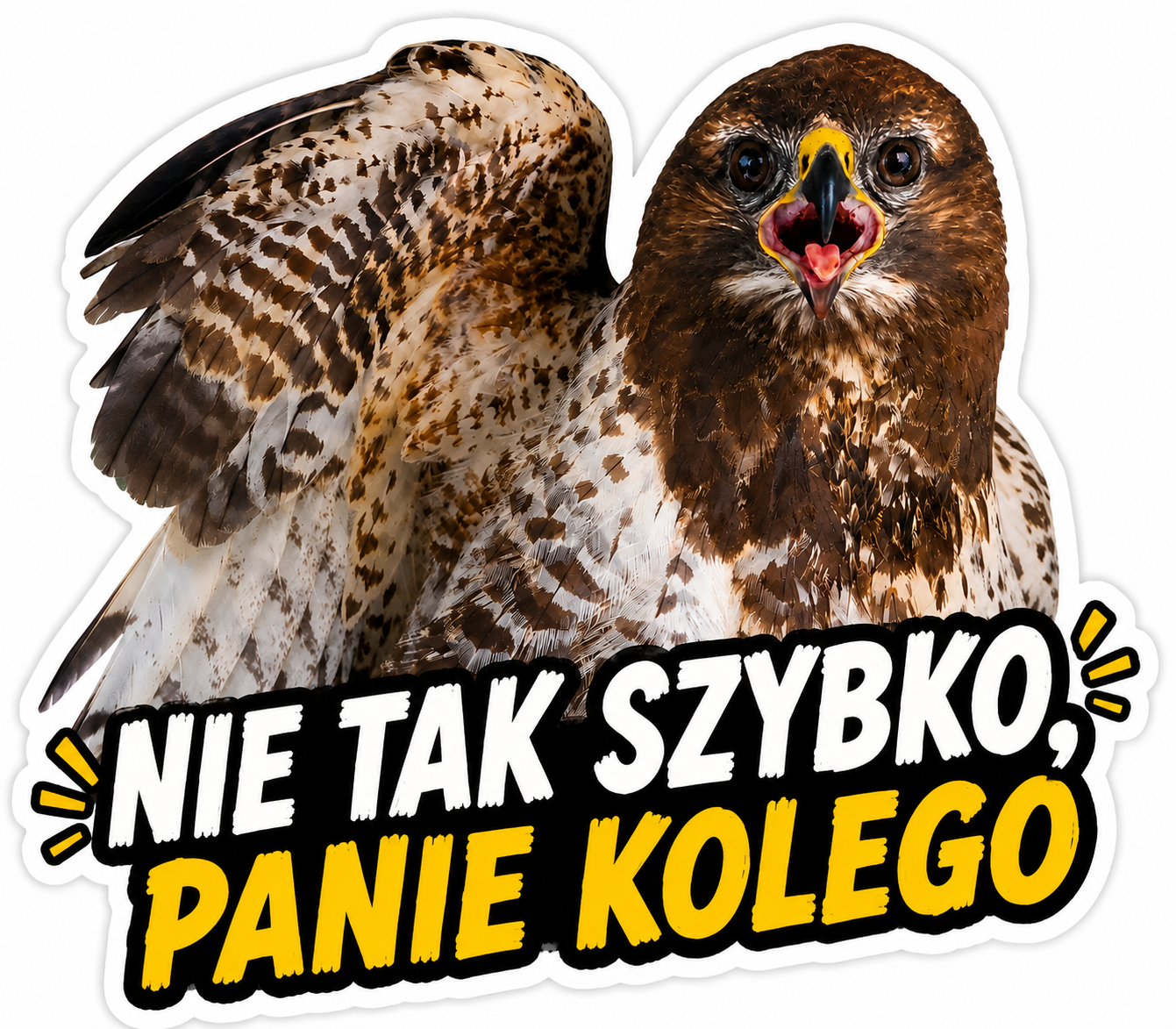 Furiasta naklejka: Nie tak szybko, panie kolego