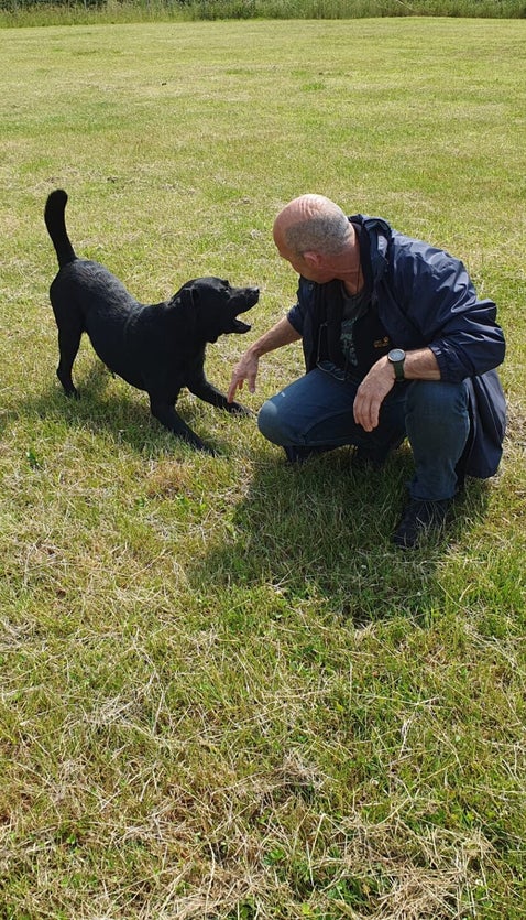 werkwijze van just4dogs op de uitlaatweide