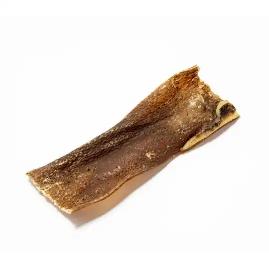 Wild Boar Skin