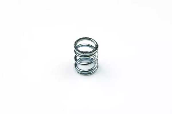 WRC SBX.1 SERVO SAVER SPRING (HARD) 100412-1