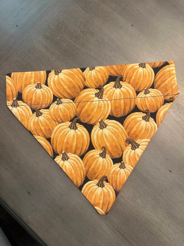 Pumpkin over the collar bandana