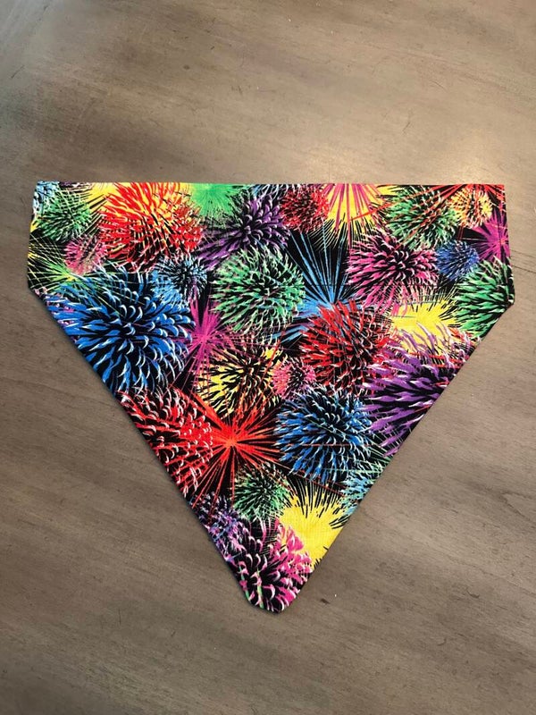 Colorful fireworks