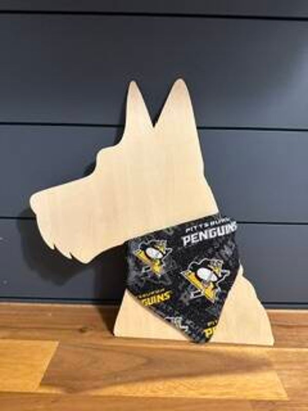 Pittsburgh Pens