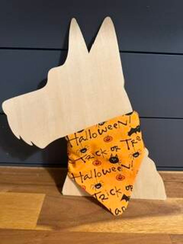 Trick or Treat