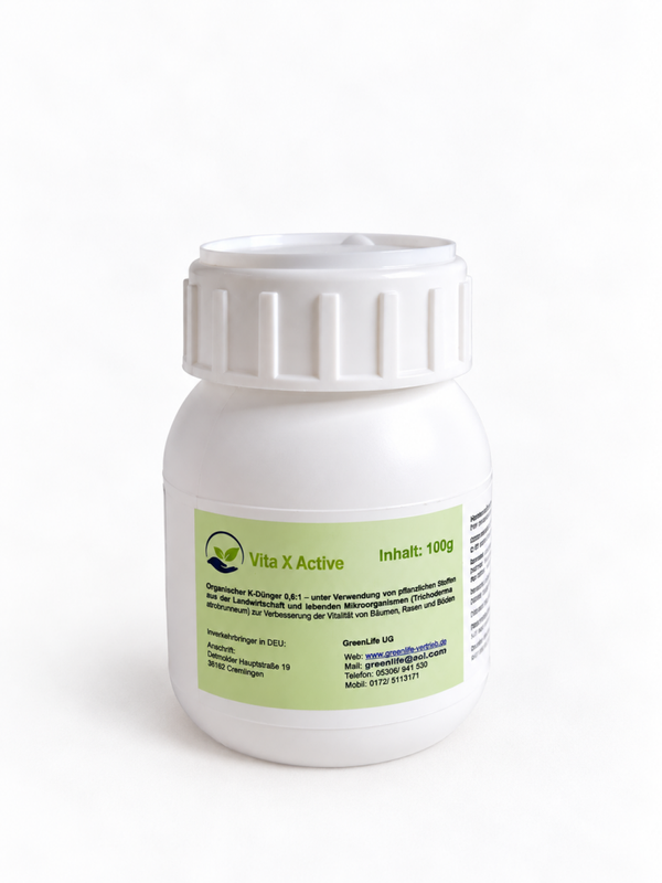 Vita X Active Granulat 100g